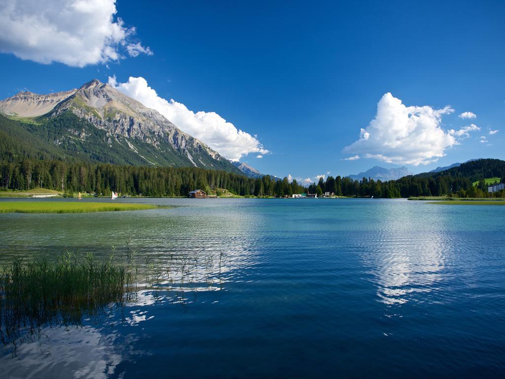 Schweizerhof Ferienwohnungen Lenzerheide 1 エクステリア 写真